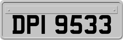 DPI9533