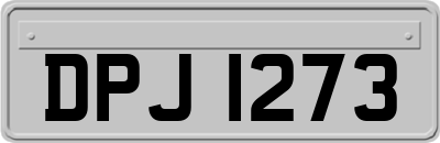 DPJ1273