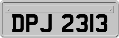 DPJ2313