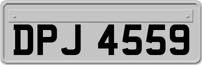 DPJ4559