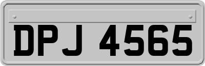 DPJ4565
