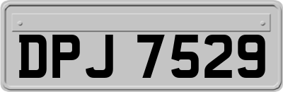 DPJ7529