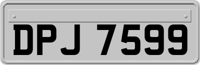 DPJ7599