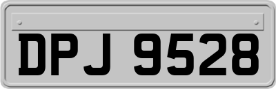 DPJ9528