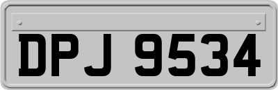 DPJ9534