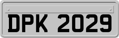 DPK2029