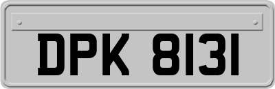 DPK8131