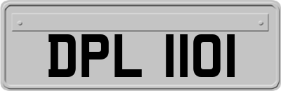 DPL1101