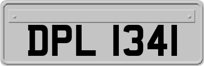 DPL1341