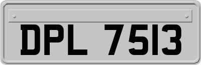 DPL7513