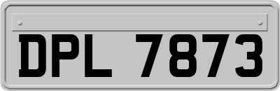 DPL7873