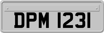 DPM1231