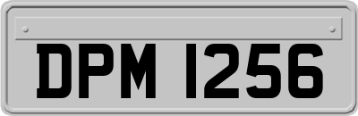 DPM1256
