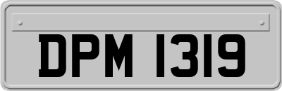 DPM1319