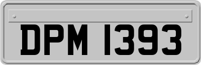 DPM1393