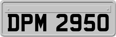 DPM2950