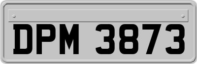 DPM3873