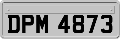 DPM4873