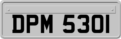 DPM5301