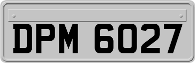 DPM6027