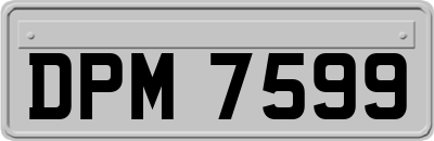 DPM7599