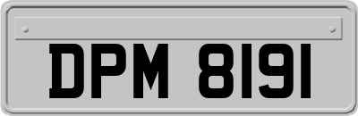 DPM8191