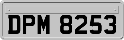 DPM8253