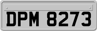 DPM8273