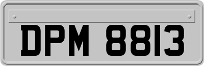 DPM8813