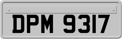 DPM9317