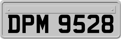 DPM9528