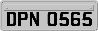 DPN0565
