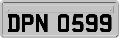DPN0599