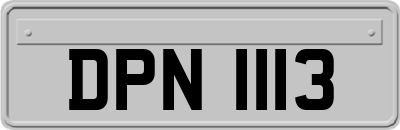 DPN1113