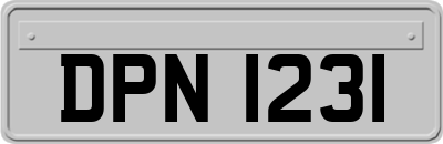 DPN1231