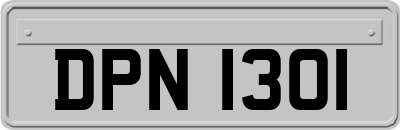 DPN1301