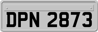 DPN2873