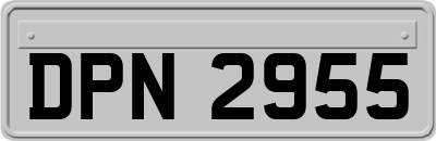 DPN2955