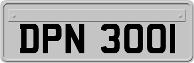 DPN3001