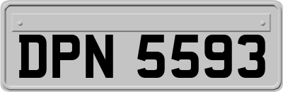 DPN5593