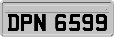 DPN6599