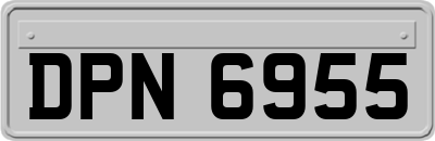 DPN6955