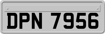 DPN7956