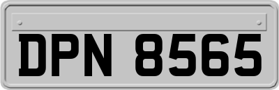 DPN8565