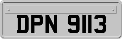 DPN9113