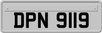 DPN9119