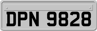 DPN9828