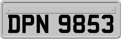 DPN9853