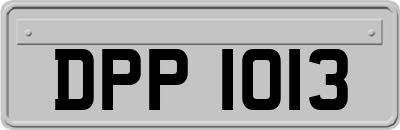 DPP1013