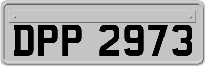 DPP2973